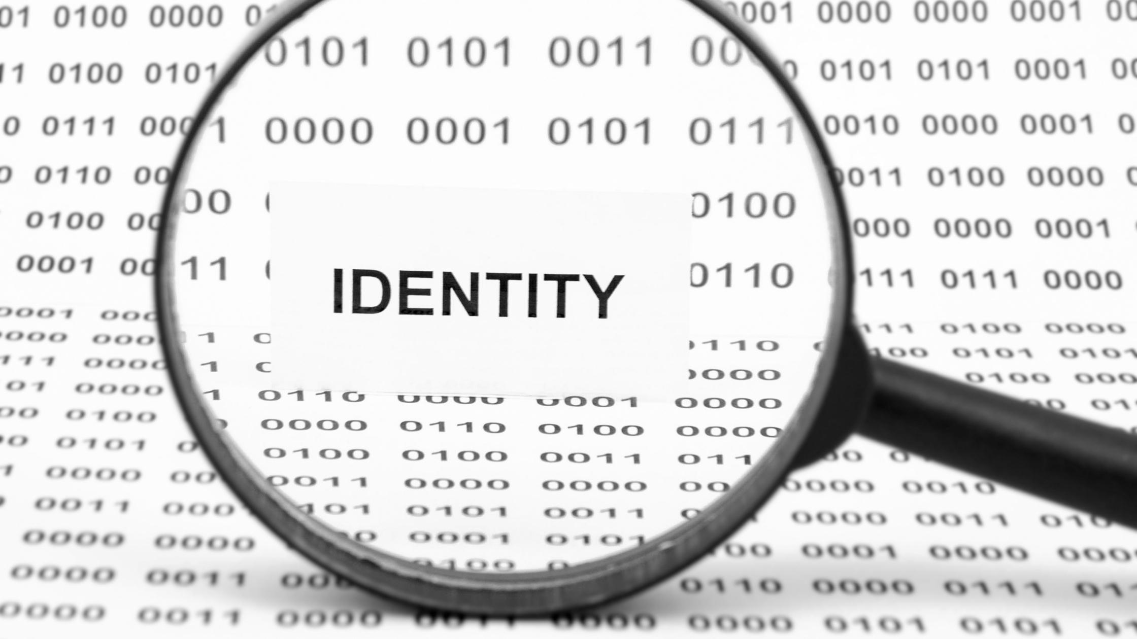 What is a Director ID Number?