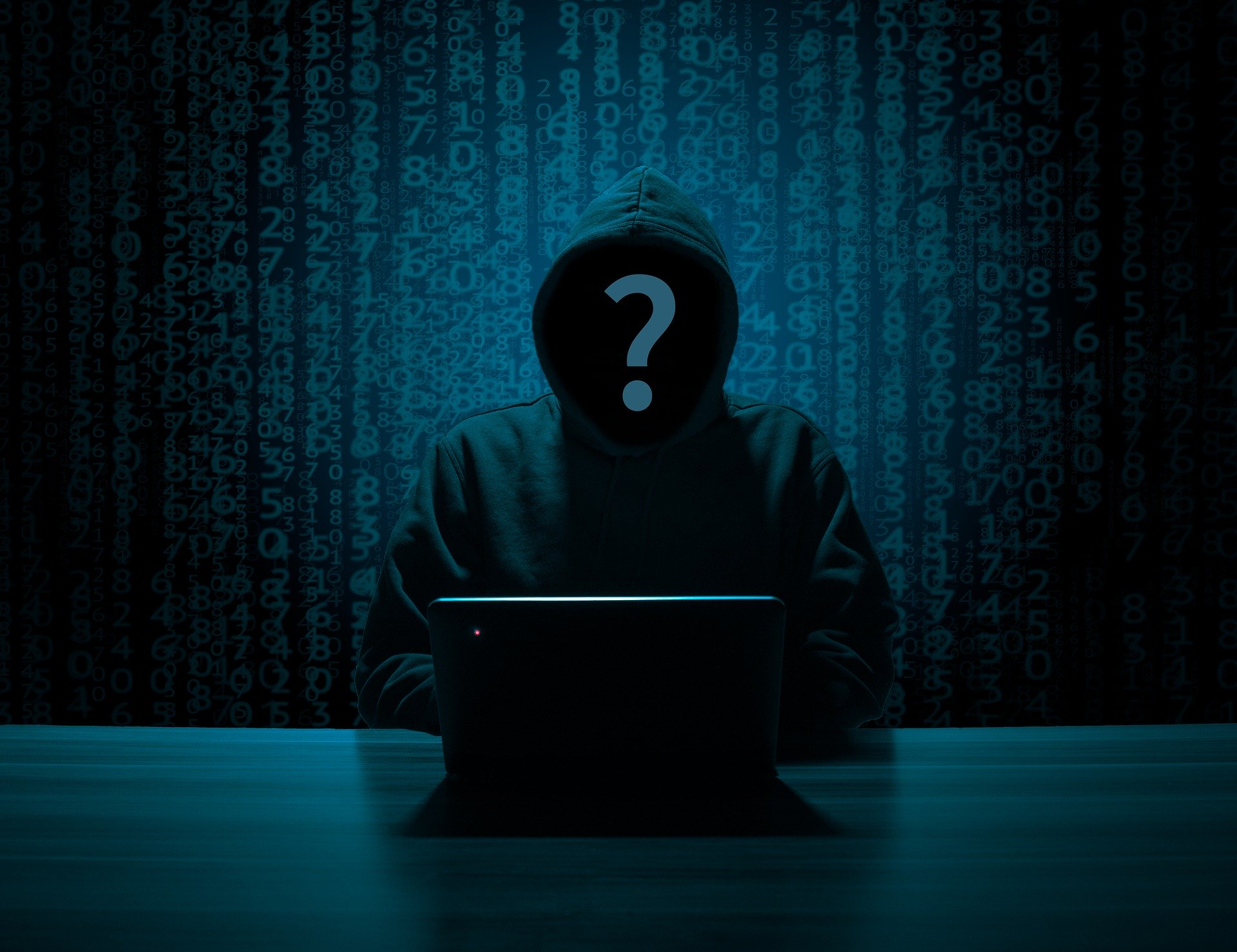 Hackers, Scammers and Thieves