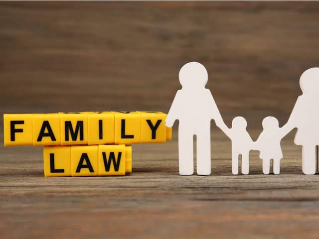 What is the Role of A Family Lawyer?