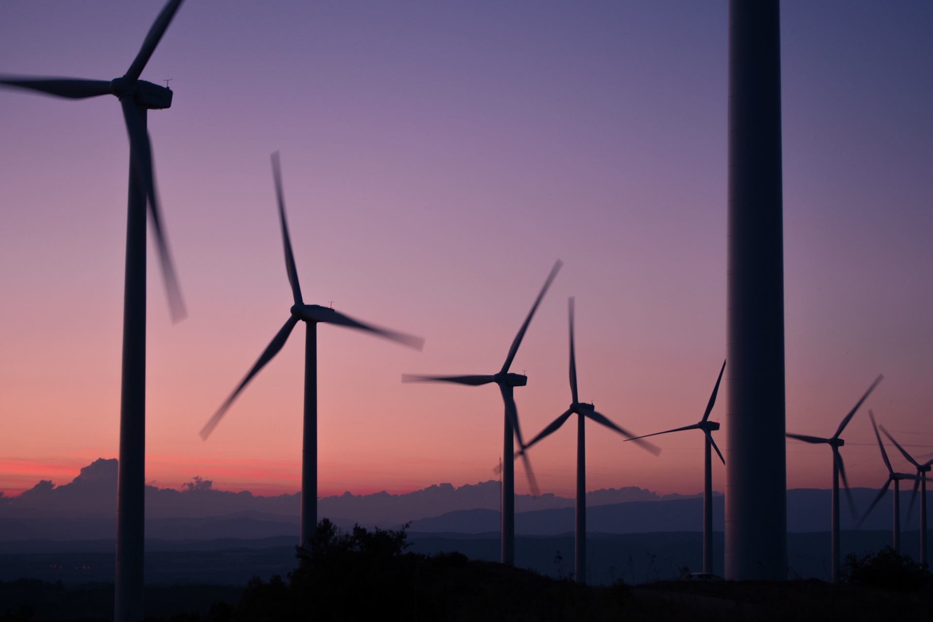 Impact of COVID-19 on Carbon Markets