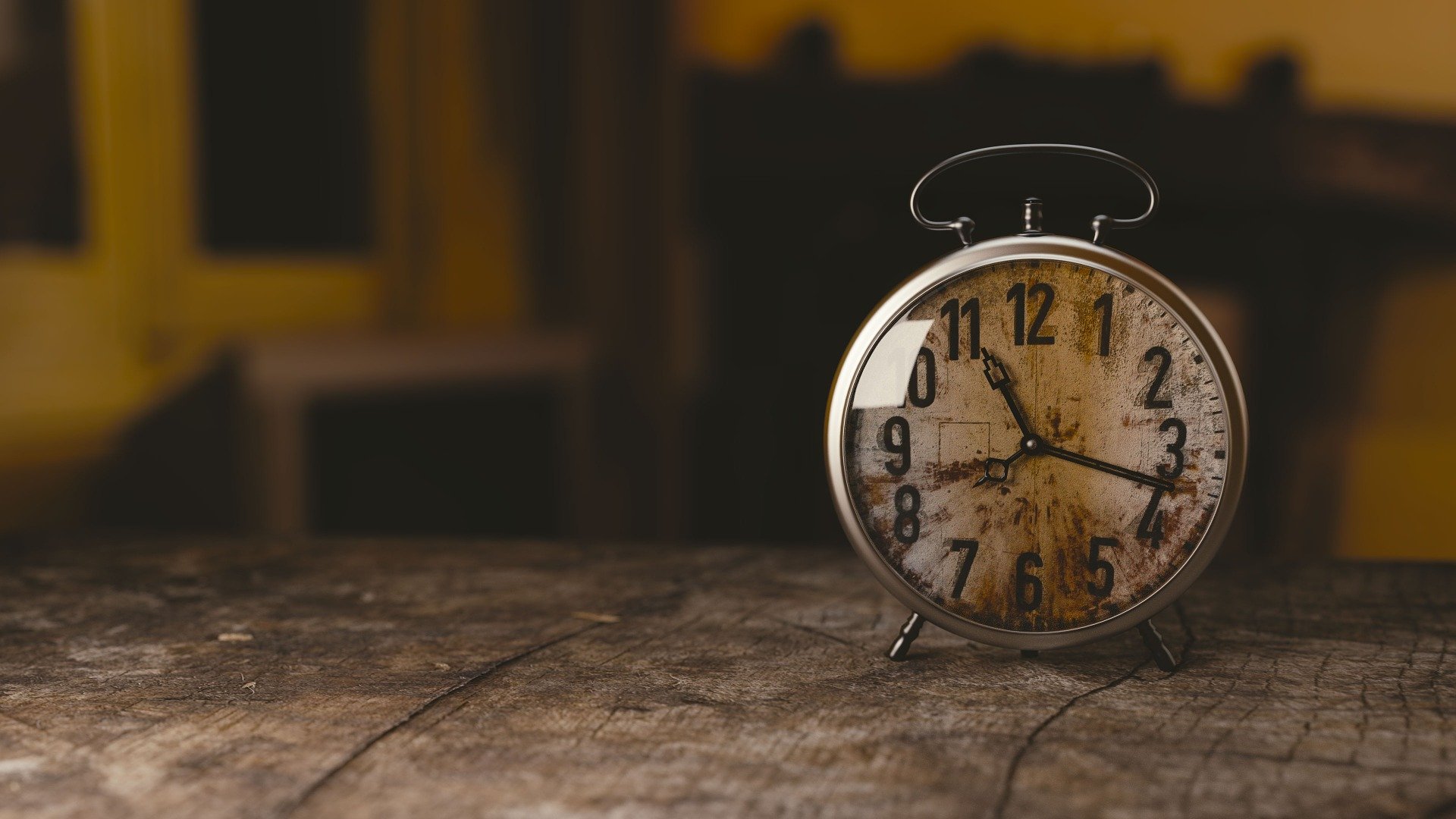 Caretaker Period Arrangements - What Councillors Need to Know