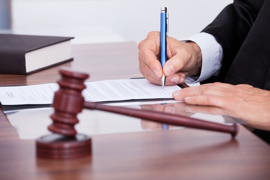 What are litigation services?