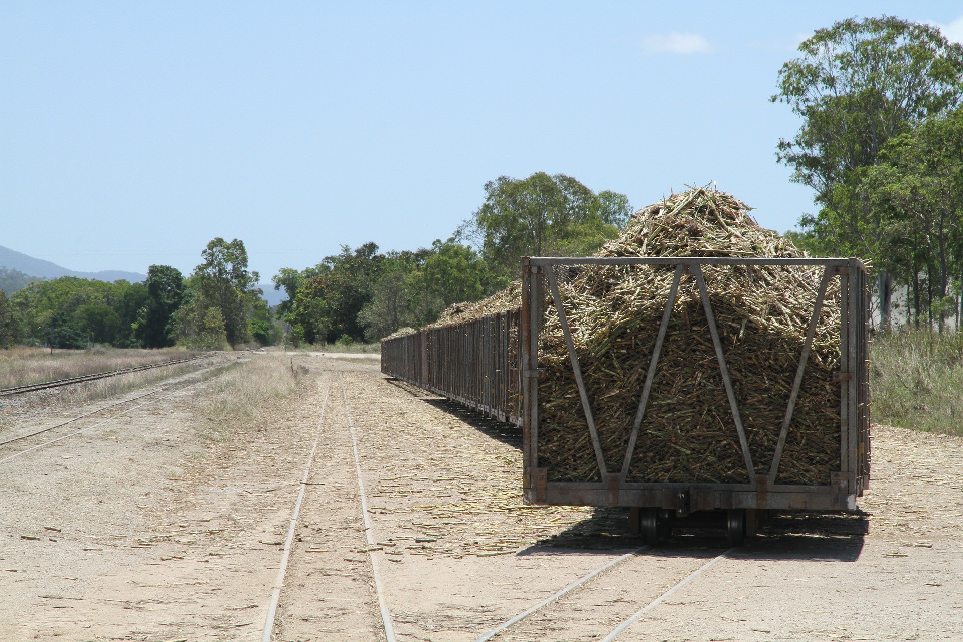 Succession Planning: The Family Farm – A Source of Family Conflict
