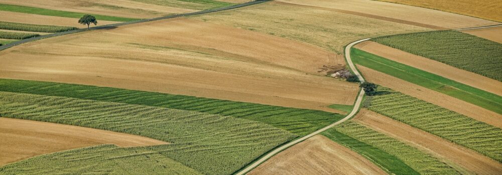 Compulsory Land Acquisition and Human Rights Act 2019