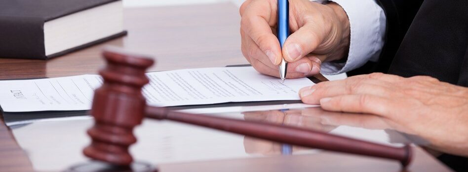 What are litigation services?