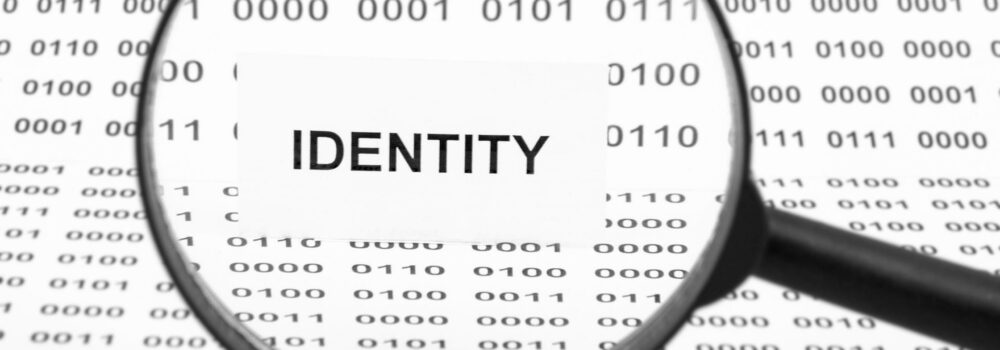 What is a Director ID Number?