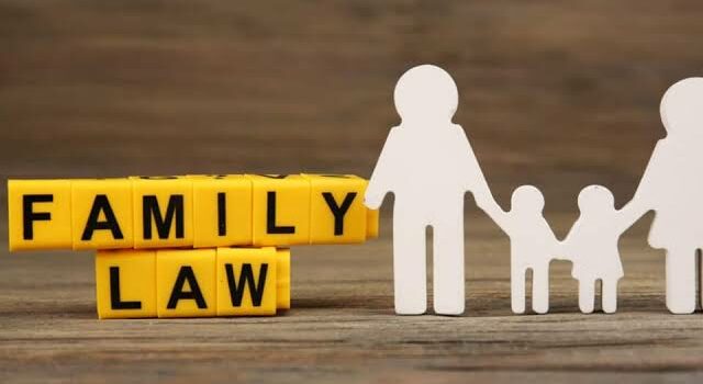 What is the Role of A Family Lawyer?