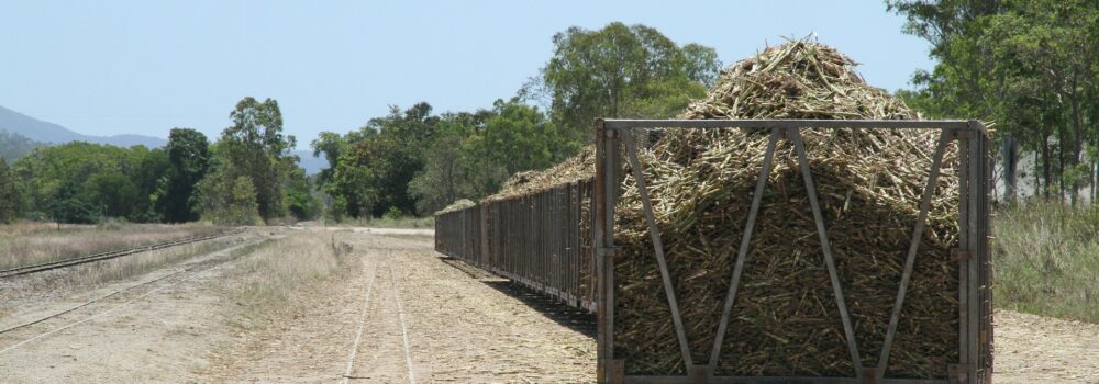 Succession Planning:  The Family Farm &#8211; A Source of Family Conflict
